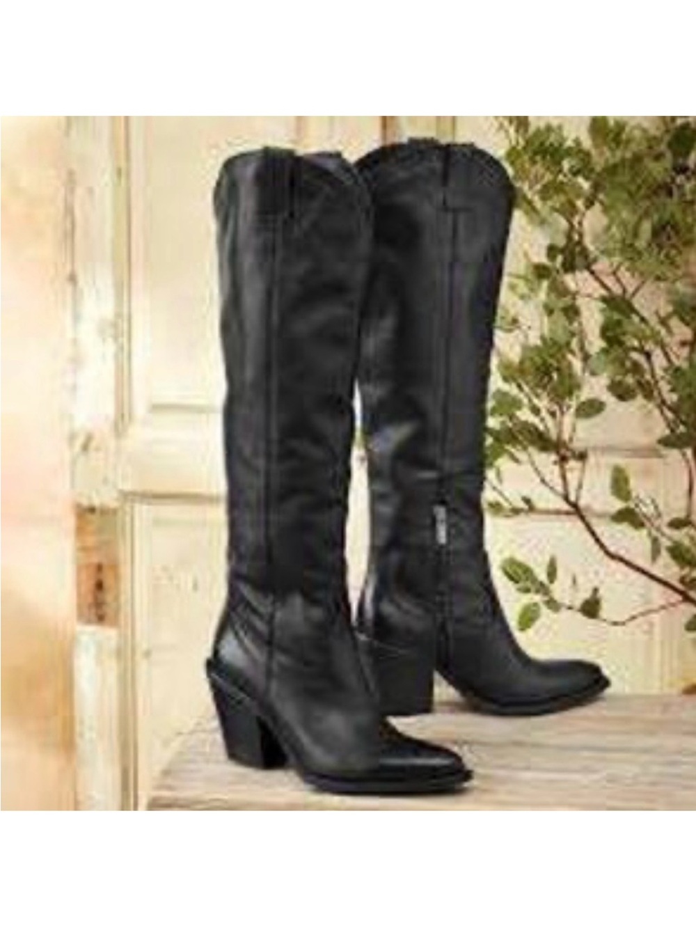 Sundance Cavaliers Women's Black Knee-High Heeled Boots